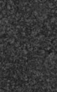 Malkot Black Granite
