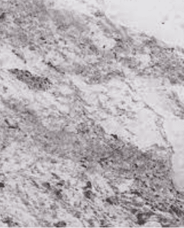 Monalisa Granite