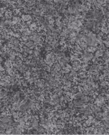 Steel Grey Granite