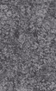 Steel Grey Granite